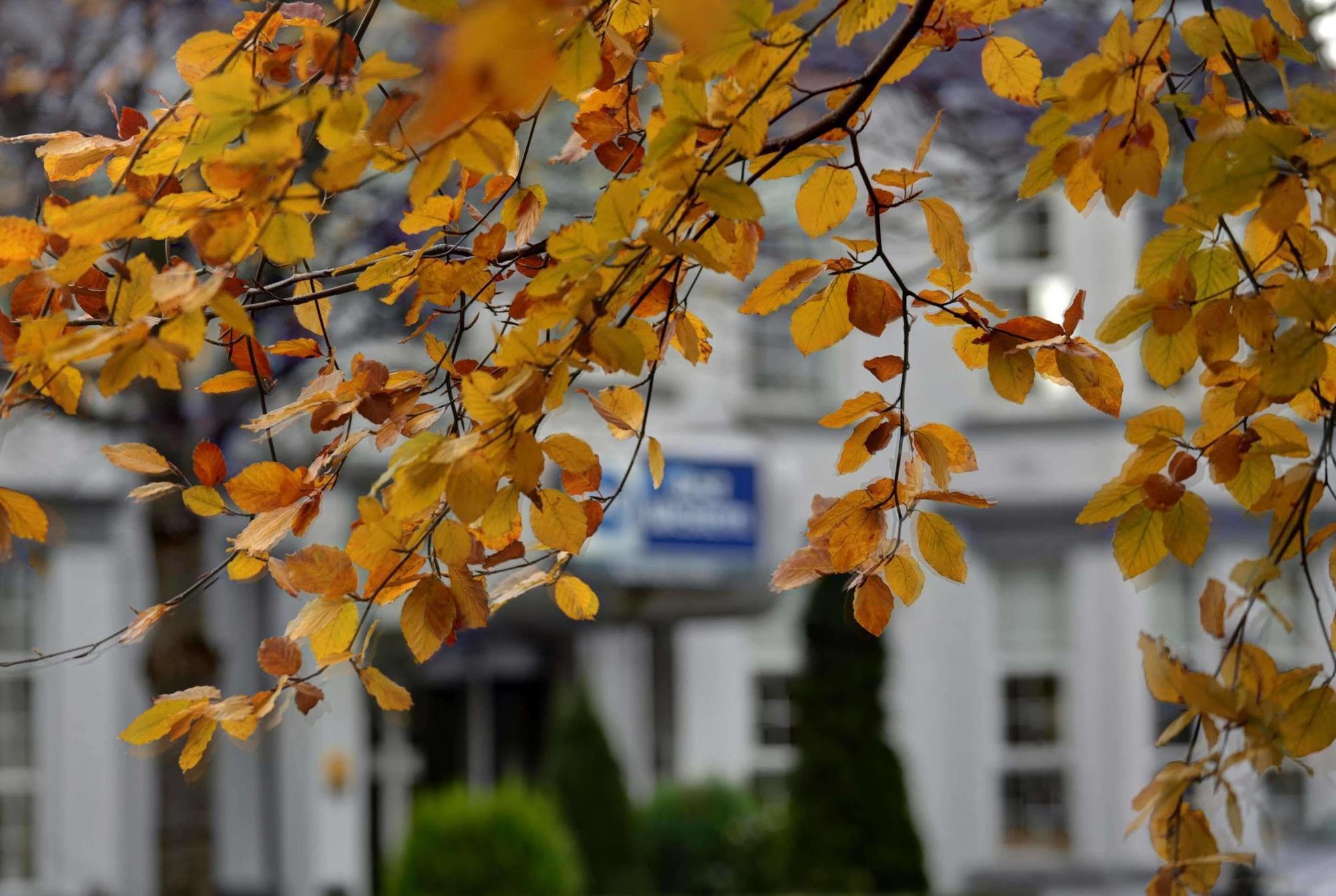 Best Western New Kent Hotel Newcastle upon Tyne Luaran gambar